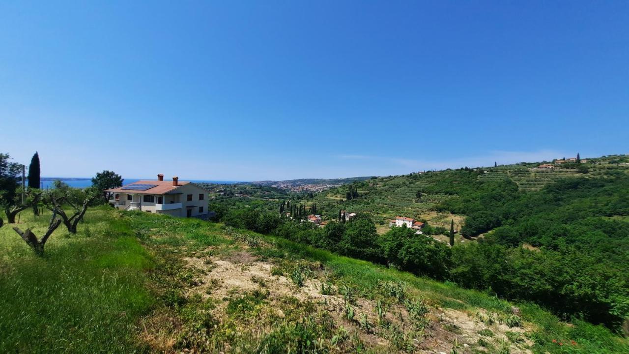 Apartma Bajc Secovlje Exterior photo