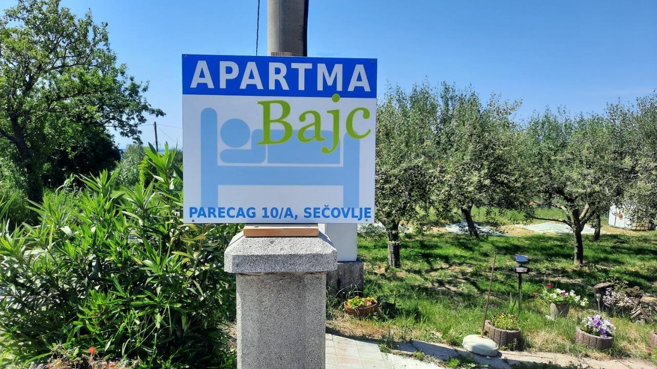 Apartma Bajc Secovlje Exterior photo