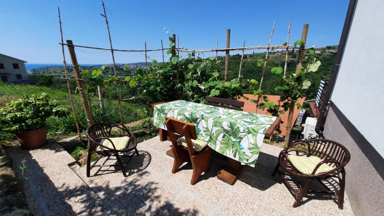 Apartma Bajc Secovlje Exterior photo
