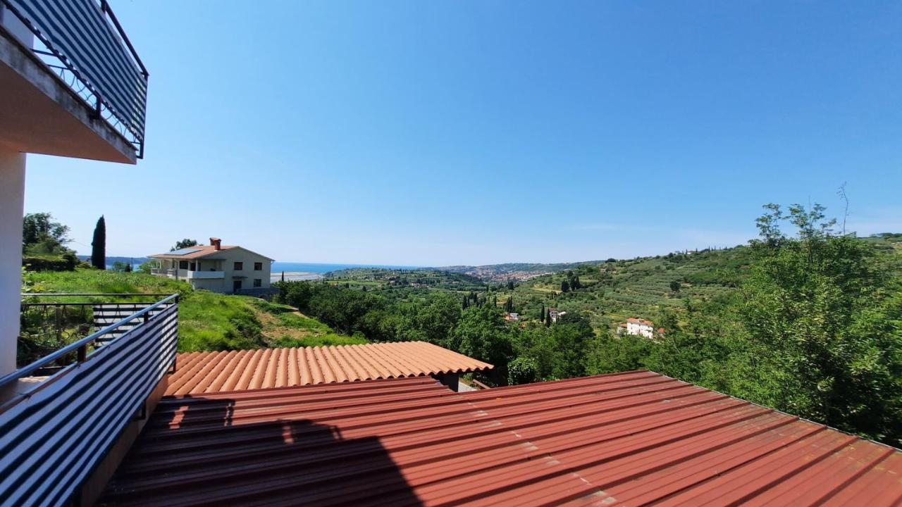 Apartma Bajc Secovlje Exterior photo