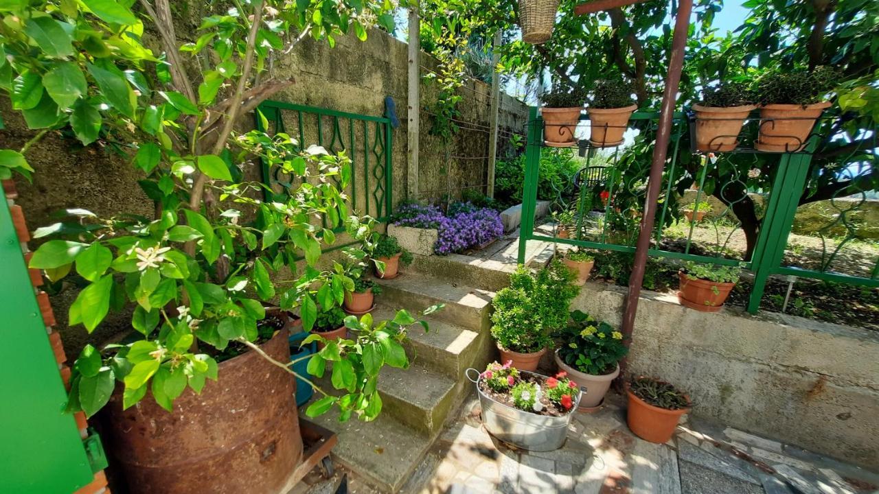 Apartma Bajc Secovlje Exterior photo